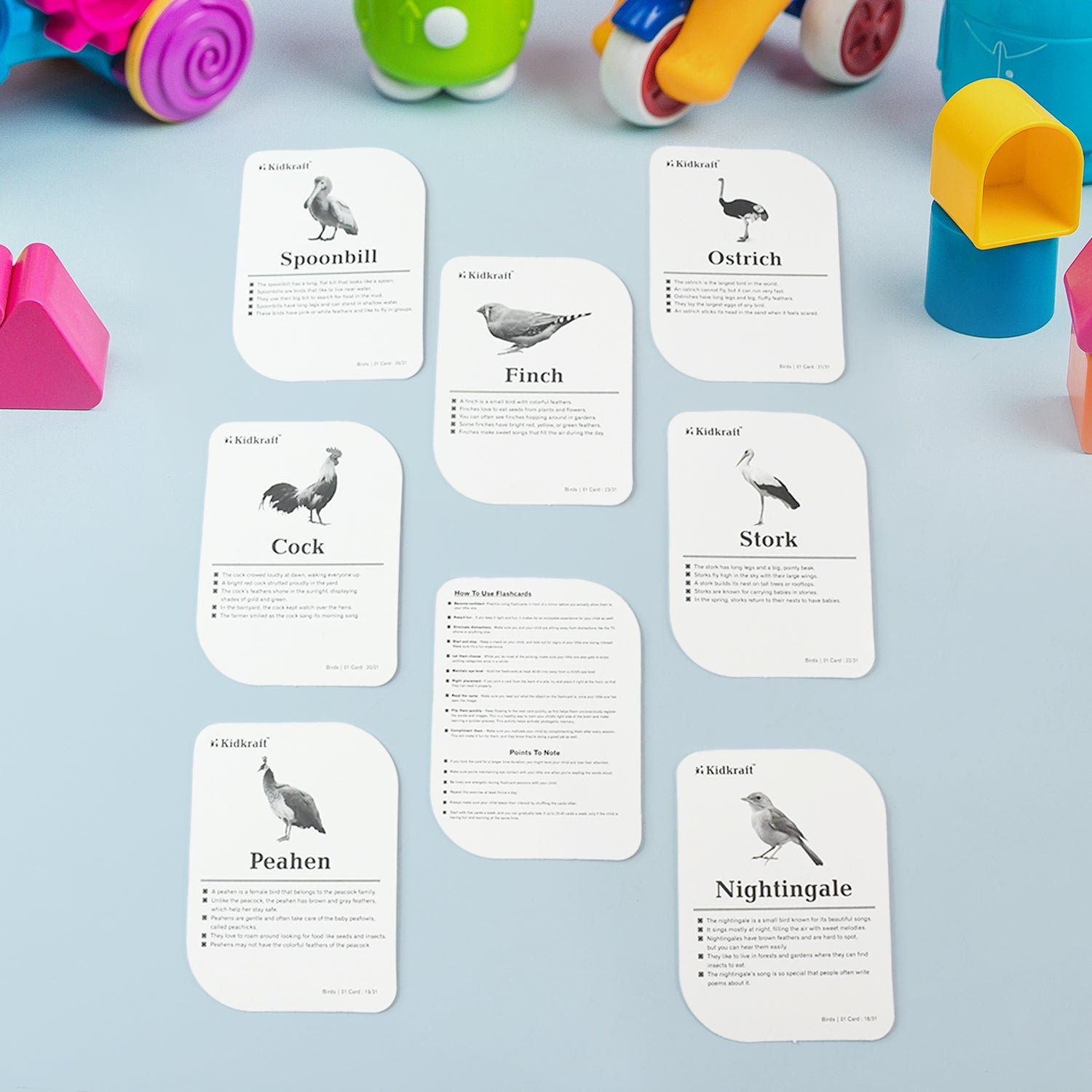 KidKraft Early Learner Educational Flashcards – 32 Birds - Image 4