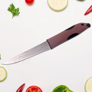 Multi-Purpose Stainless Steel Kitchen Cutting Knife (1 Pc)