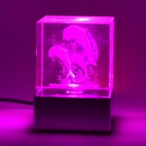 3D Mix Design LED Light Base With Speaker (1 Pc / B Grade)