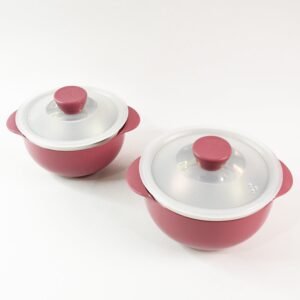 Apex Premium Plastic Serving Bowl Set with Lids (2 Pc)