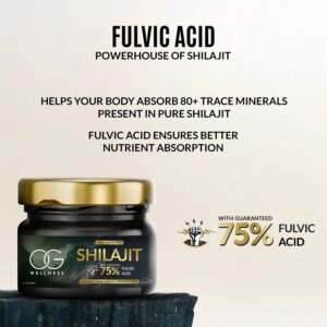 OG Wellness Pure Himalayan Shilajit Resin (20 GM / 1 Pc)
