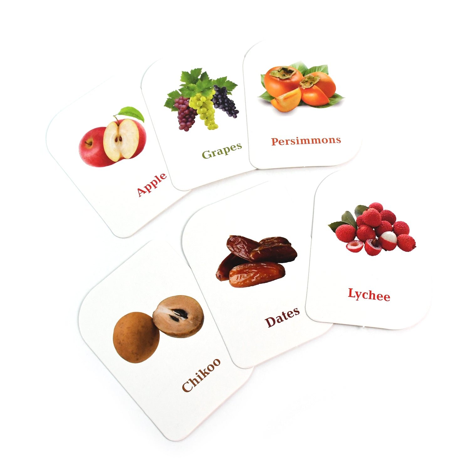 KidKraft Early Learner Educational Flashcards – 32 Birds - Image 5