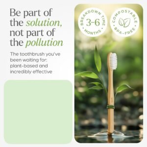 Eco-Friendly Natural Bamboo Toothbrush with Medium Bristles (2 Pc)