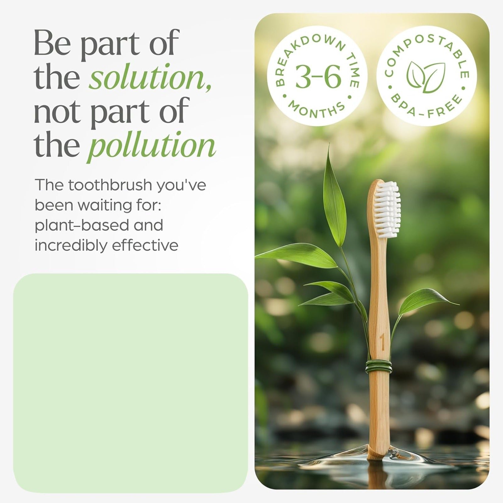 Eco-Friendly Natural Bamboo Toothbrush with Medium Bristles (2 Pc) - Image 4