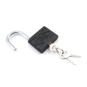 Iron Padlock with Brass Core for Home & Outdoor Security (60mm)