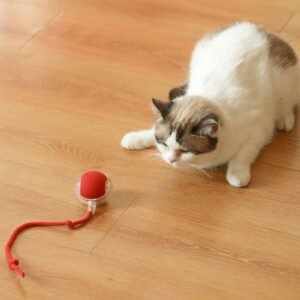 Rechargeable Interactive Cat Toy Ball with Detachable Braided Tail and LED Light (1 Pc)