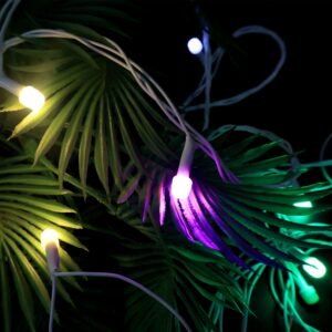 Multi-Color LED Decorative String Light (8 Meter)