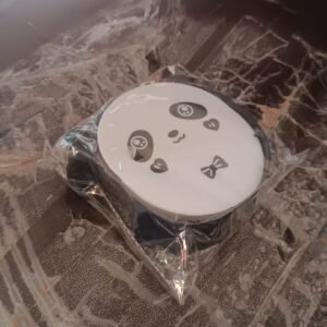 Plastic Cute Panda Soap Box – Wall Mounted Flip-Top Drain Soap Case (1 Pc)