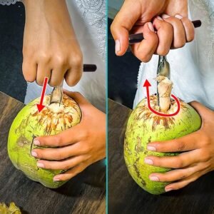 Stainless Steel Coconut Breaker Tool with Comfortable T-Handle (1 Pc)