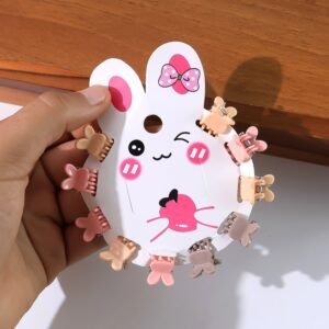 Mini Claw Hair Clips Set for Girls (12 Pkt / 1 Set)